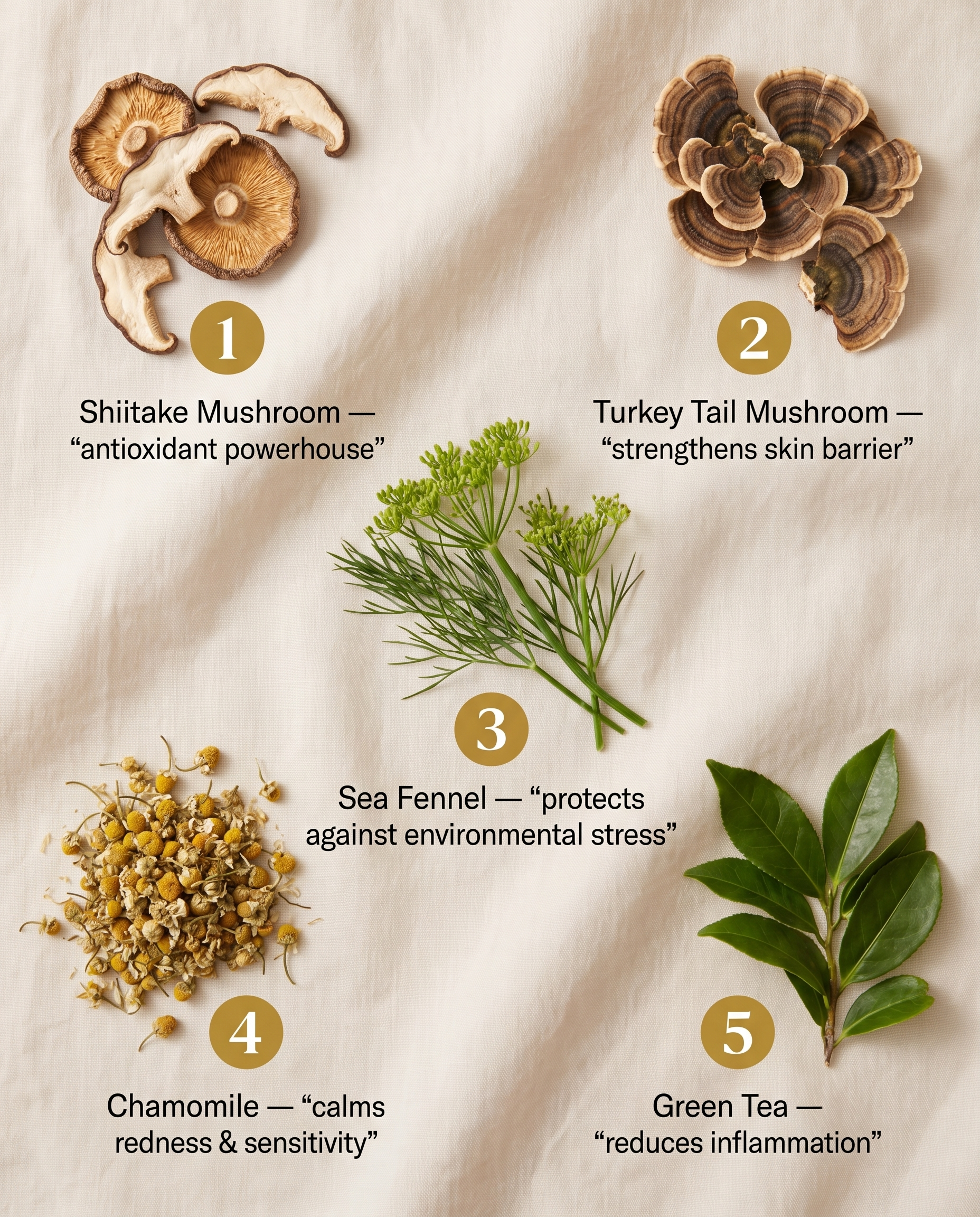 Dark Spot Serum for Sensitive Skin