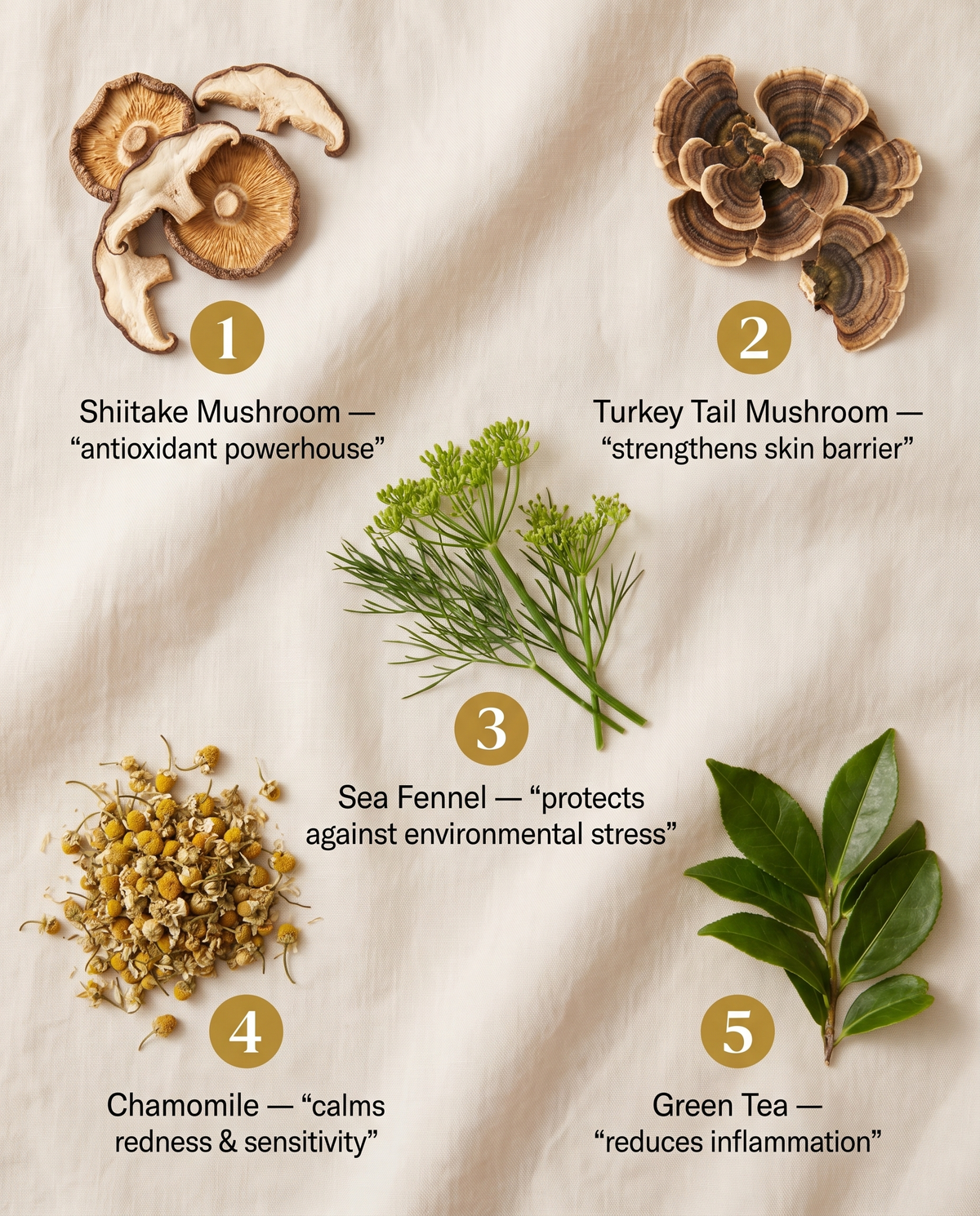 Dark Spot Serum for Sensitive Skin